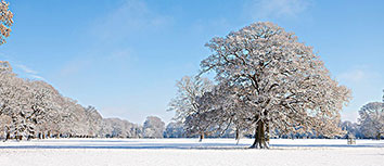 切尔西突破困境，取得连胜势头